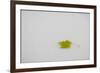 Rest in Peace-Adrian Campfield-Framed Giclee Print