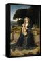 Rest on the Flight from Egypt, Ca. 1515-Gerard David-Framed Stretched Canvas