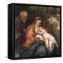 Rest on the Flight into Egypt by Anthony van Dyck-null-Framed Stretched Canvas