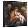 Rest on the Flight into Egypt by Anthony van Dyck-null-Framed Stretched Canvas