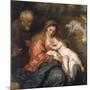 Rest on the Flight into Egypt by Anthony van Dyck-null-Mounted Photographic Print