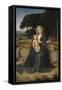 Rest on the Flight into Egypt, Ca 1515-Gerard David-Framed Stretched Canvas