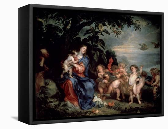 Rest on the Flight into Egypt (Virgin with Partridge), C1629-1630-Sir Anthony Van Dyck-Framed Stretched Canvas