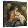 Rest on the Flight into Egypt-Sir Anthony Van Dyck-Stretched Canvas