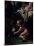 Rest on the Flight into Egypt-Giambettino Cignaroli-Mounted Giclee Print