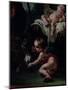 Rest on the Flight into Egypt-Giambettino Cignaroli-Mounted Giclee Print