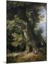 Rest on the Flight into Egypt-Jan Brueghel-Mounted Art Print