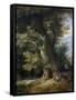 Rest on the Flight into Egypt-Jan Brueghel-Framed Stretched Canvas