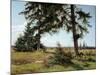 Rest, summer day. Ca. 1860-Alexander Iwanow Morosoff-Mounted Giclee Print