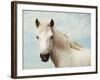 Rest-Irene Suchocki-Framed Giclee Print