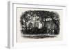 Restaurant at Franchard, the Forest of Fontainebleau, France----, 19th Century-null-Framed Giclee Print