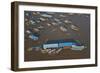 Restaurant, Chong Kneas Floating Village, Tonle Sap Lake, Near Siem Reap, Cambodia-David Wall-Framed Photographic Print