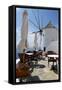 Restaurant Deck Windmill-Larry Malvin-Framed Stretched Canvas