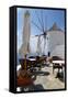 Restaurant Deck Windmill-Larry Malvin-Framed Stretched Canvas