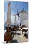 Restaurant Deck Windmill-Larry Malvin-Mounted Photographic Print