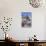 Restaurant in a Half-Timbered House, Colmar, Alsace, France, Europe-Markus Lange-Photographic Print displayed on a wall