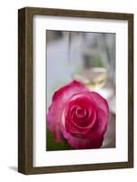 Restaurant, Paris - Pink Roses on the Table-Owen Franken-Framed Photographic Print