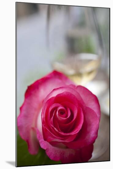 Restaurant, Paris - Pink Roses on the Table-Owen Franken-Mounted Photographic Print