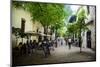 Restaurants and Colonial Houses in the Zona Colonial, Old Town, Santo Domingo-Michael Runkel-Mounted Photographic Print