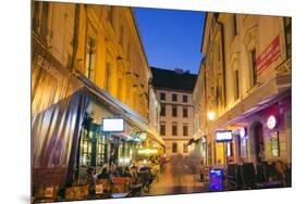 Restaurants, Bratislava, Slovakia, Europe-Christian Kober-Mounted Photographic Print