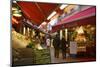 Restaurants in Rue Des Bouchers, Brussels, Belgium, Europe-Neil Farrin-Mounted Photographic Print