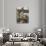 Restaurants-Damian Dovarganes-Premium Photographic Print displayed on a wall