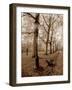 Restful Autumn I-Boyce Watt-Framed Art Print