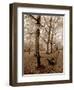 Restful Autumn I-Boyce Watt-Framed Art Print