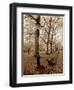 Restful Autumn I-Boyce Watt-Framed Art Print