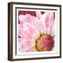 Restful Bloom-Marcus Prime-Framed Art Print