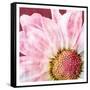 Restful Bloom-Marcus Prime-Framed Stretched Canvas