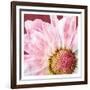 Restful Bloom-Marcus Prime-Framed Art Print