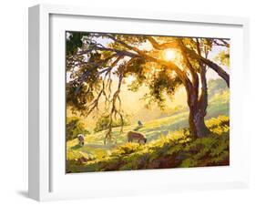 Restful Radiance-Erin Dertner-Framed Art Print