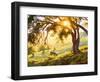 Restful Radiance-Erin Dertner-Framed Art Print