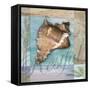 Restful Shell-Todd Williams-Framed Stretched Canvas