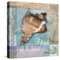 Restful Shell-Todd Williams-Stretched Canvas