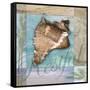 Restful Shell-Todd Williams-Framed Stretched Canvas