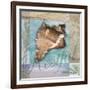 Restful Shell-Todd Williams-Framed Art Print