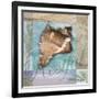 Restful Shell-Todd Williams-Framed Art Print