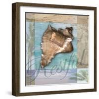 Restful Shell-Todd Williams-Framed Art Print