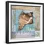 Restful Shell-Todd Williams-Framed Art Print