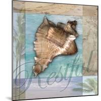 Restful Shell-Todd Williams-Mounted Art Print