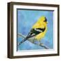 Resting Bird-Sarah Simpson-Framed Art Print