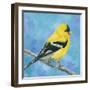 Resting Bird-Sarah Simpson-Framed Art Print