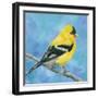 Resting Bird-Sarah Simpson-Framed Art Print