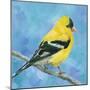 Resting Bird-Sarah Simpson-Mounted Art Print