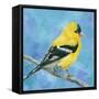 Resting Bird-Sarah Simpson-Framed Stretched Canvas