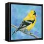 Resting Bird-Sarah Simpson-Framed Stretched Canvas