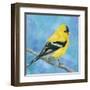 Resting Bird-Sarah Simpson-Framed Art Print