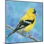 Resting Bird-Sarah Simpson-Mounted Art Print